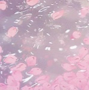 Meet your Posher, Talia